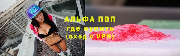 прущий лед Алзамай