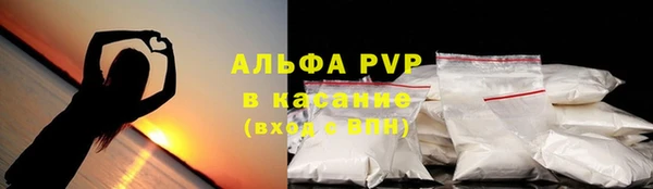 прущий лед Алзамай