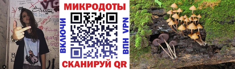 Галлюциногенные грибы мицелий  Шадринск 